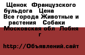 Щенок  Французского бульдога › Цена ­ 35 000 - Все города Животные и растения » Собаки   . Московская обл.,Лобня г.